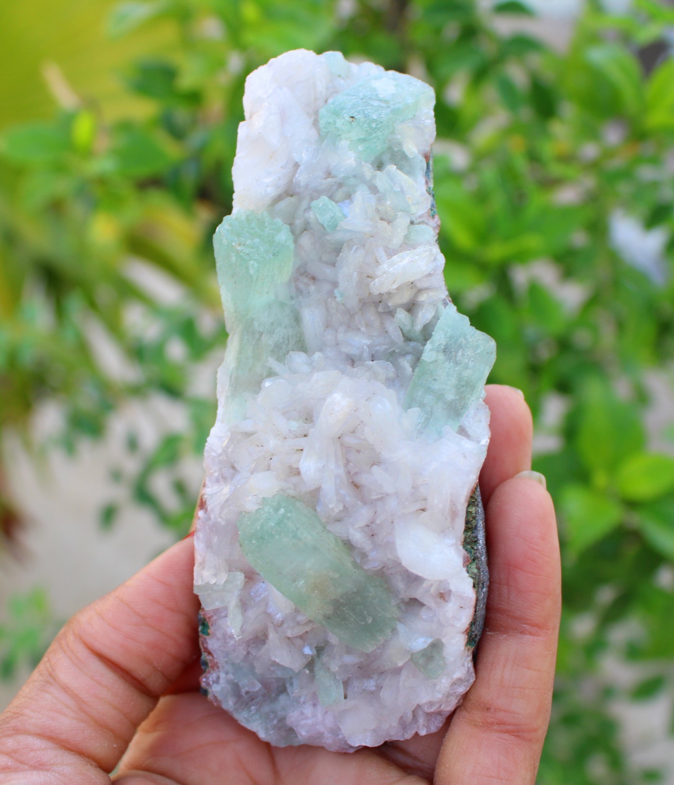 Green Apophyllite Crystals w/ Stilbite On Matrix Minerals Specimen #A46