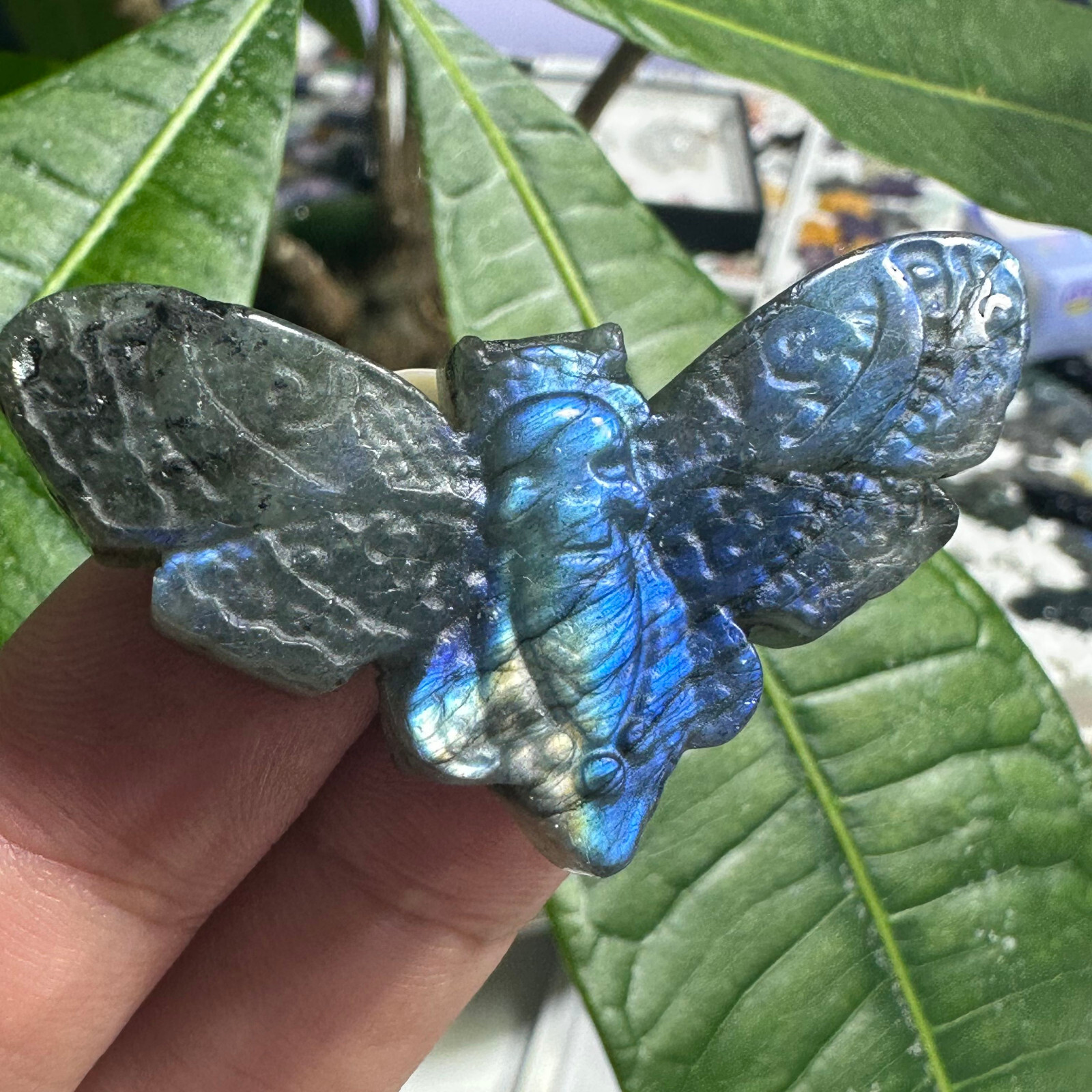 Natural Labradorite Ghost face Moth Specimen Quartz Skull Crystal Reiki Healing