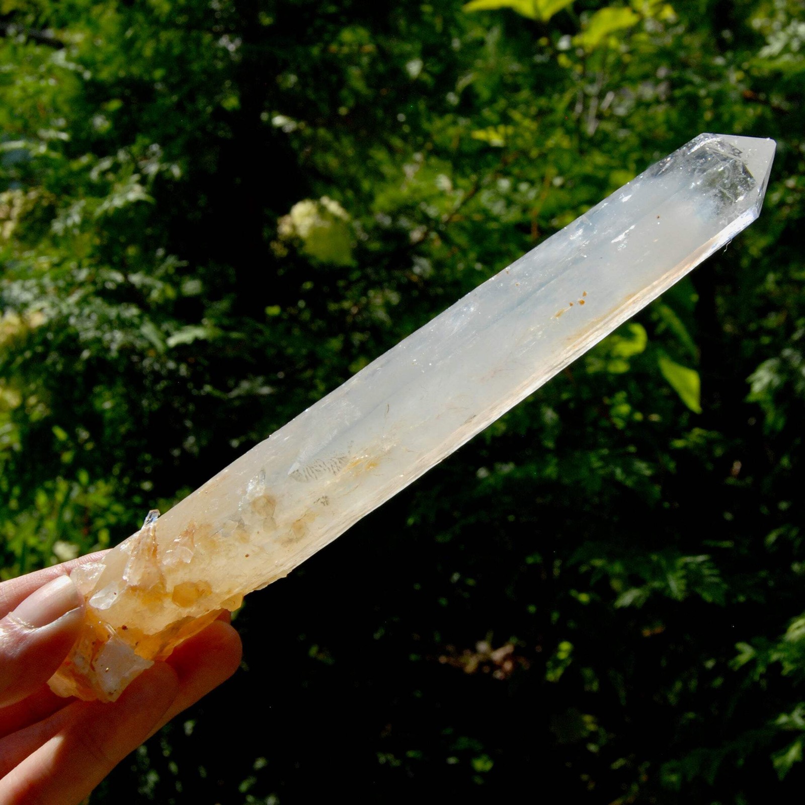 XL AAA Colombian Blue Smoke Lemurian Quartz Crystal Starbary, 8.5″ 244g Record K