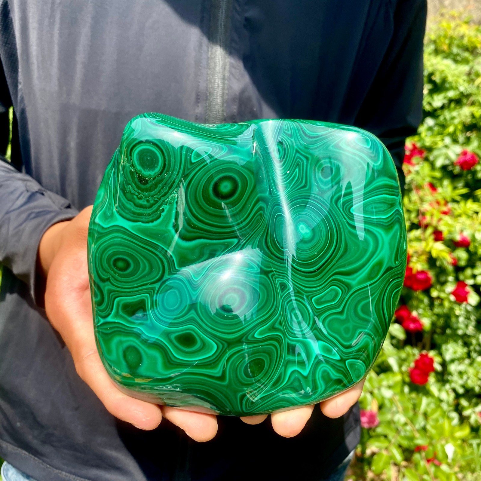 4.1LB Natural glossy Malachite egg transparent cluster rough mineral sample