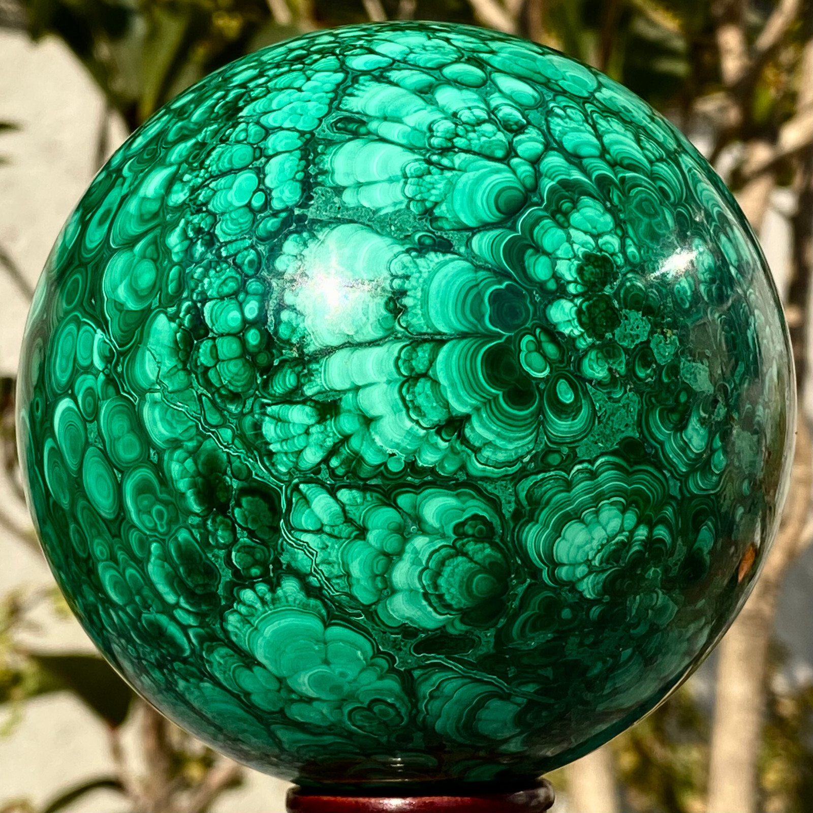 2.98LB Natural Gloss Peacock Stone Ball Transparent Cluster Rough Mineral Sample