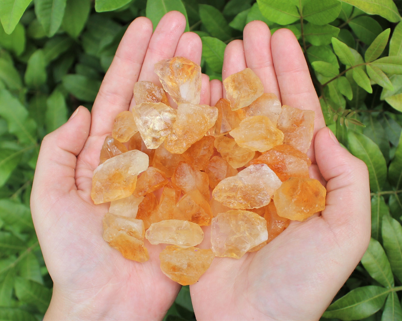1/2 lb Bulk Lot Raw Rough Citrine Crystals CHIPS, Loose 8 oz