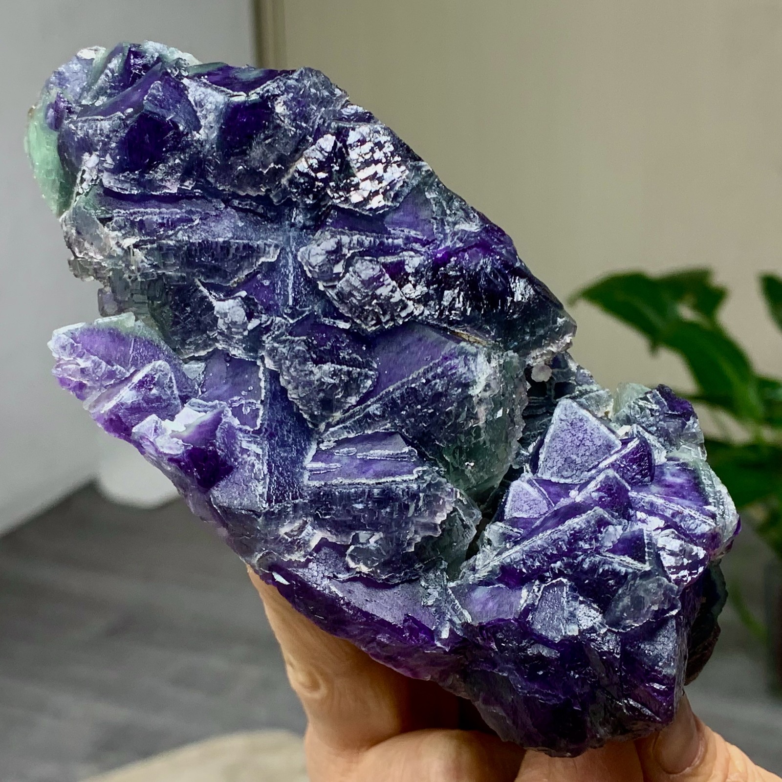 643G Rare transparent purple octahedron fluorite mineral crystal sample/China