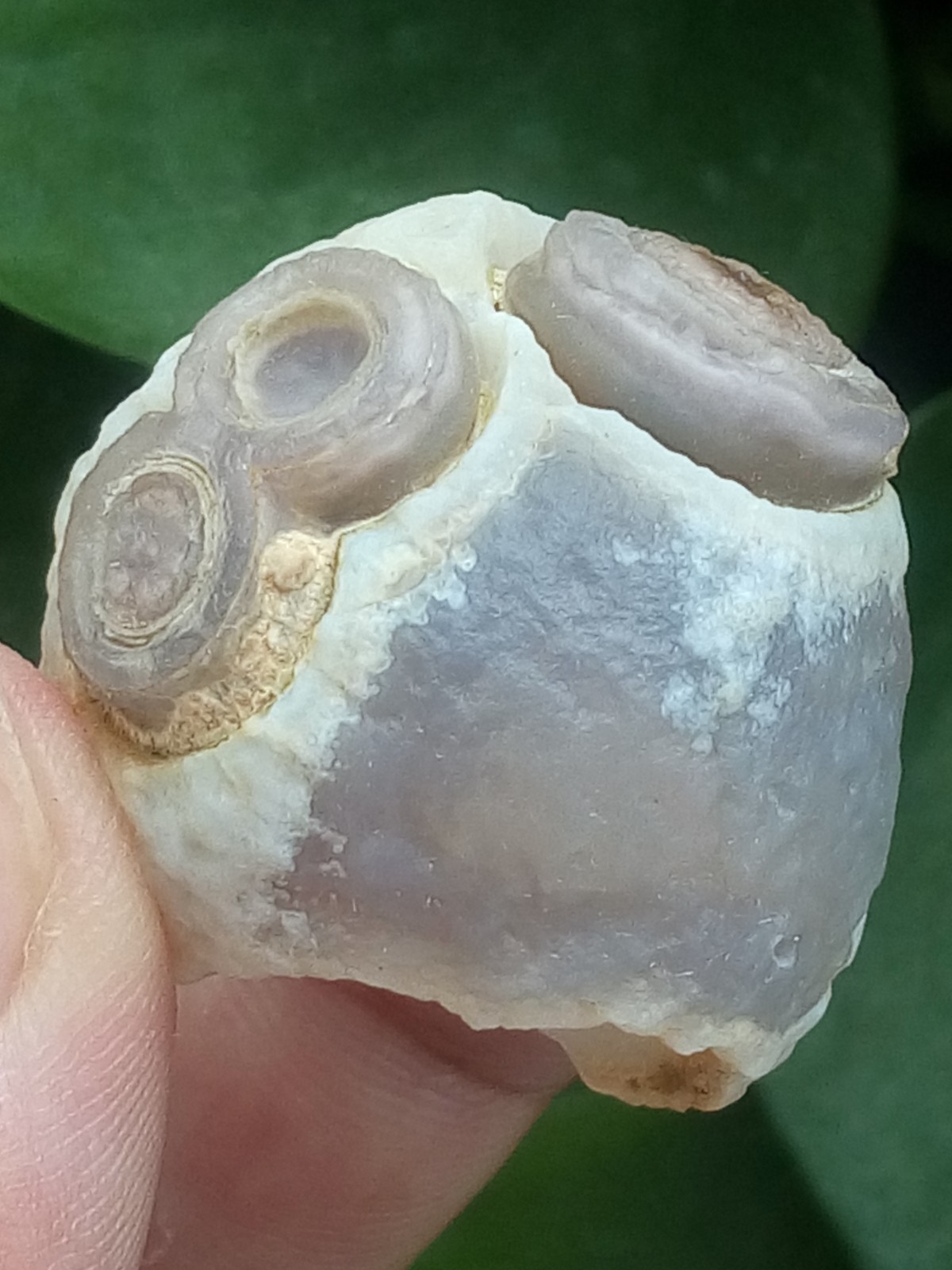 32mm Natural Gobi agate eye agate collection Landscape stone