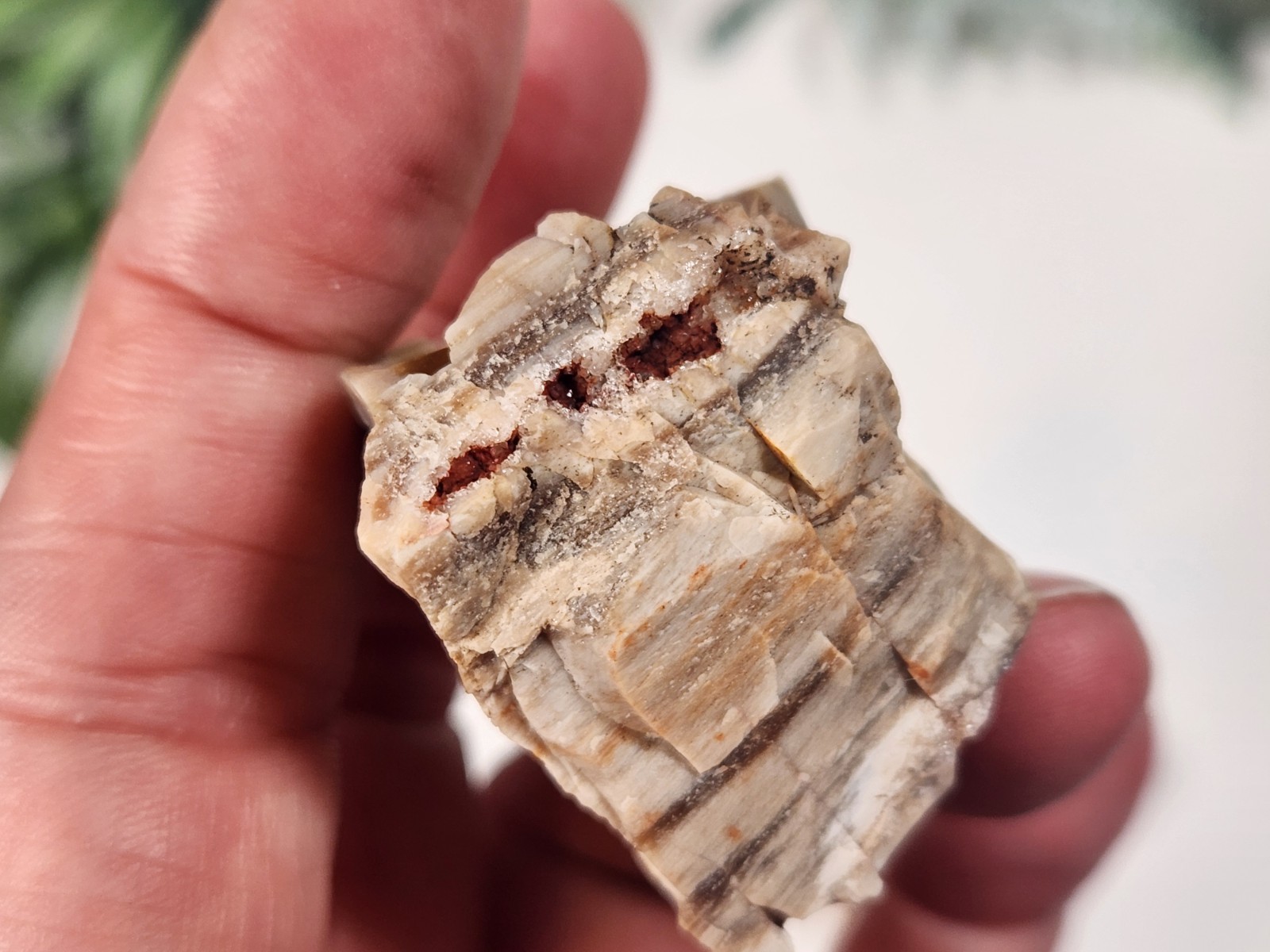 3 Pc Crystal Set Pink Amethyst Geode, Caribbean Calcite, Petrified Wood w Druzy