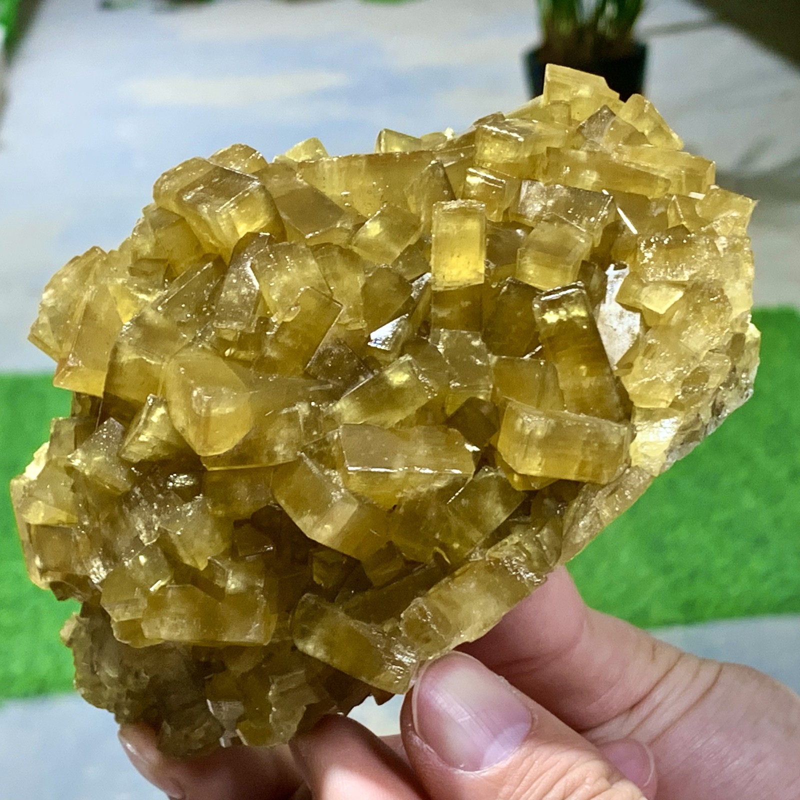 1.87LB Shiny Golden Cuboid Barite Crystal Based on the Purple Spherical Fluorite