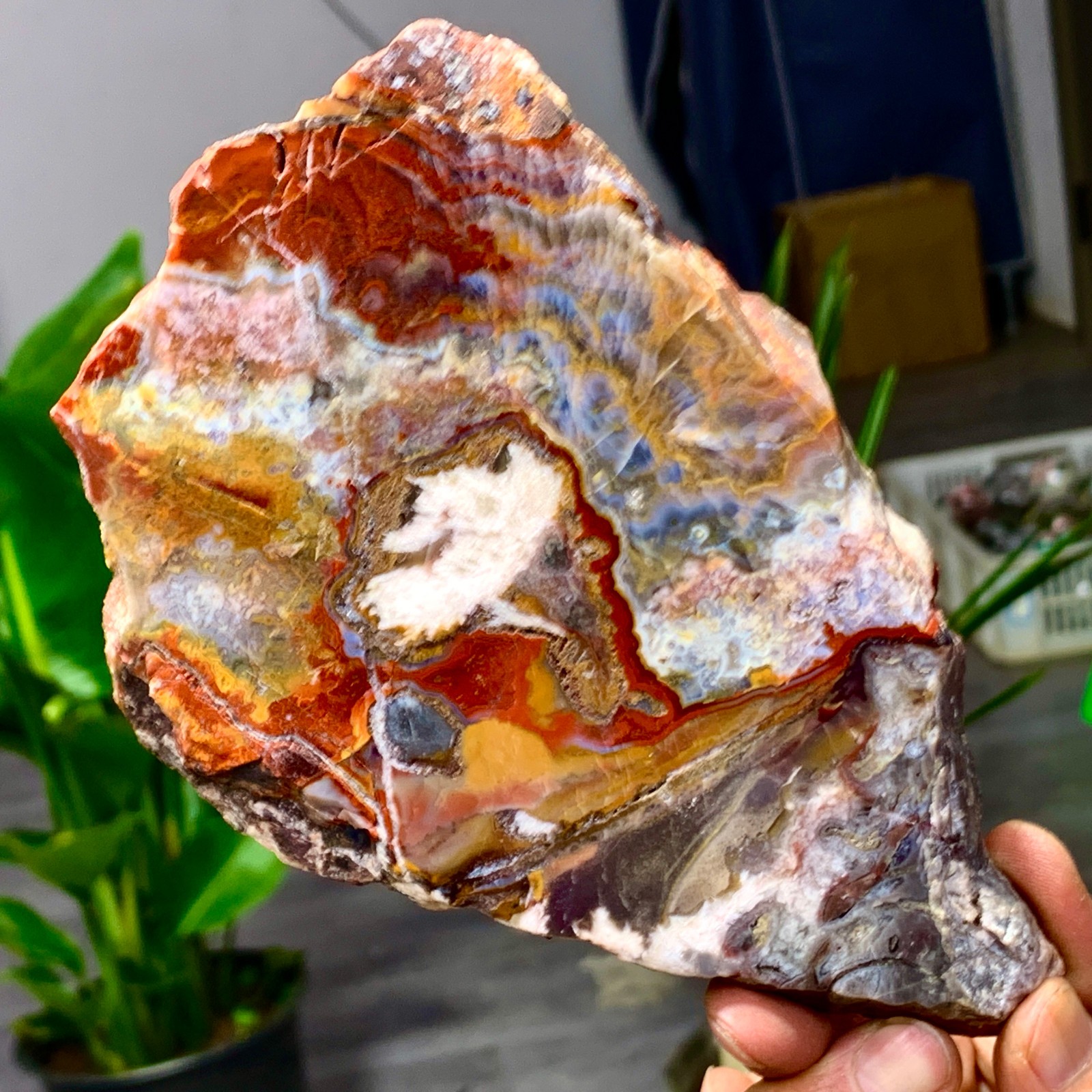 449G Natural Red Crazy Ribbon Lace Agate Crystal Polishing Sheet Mexico Repair