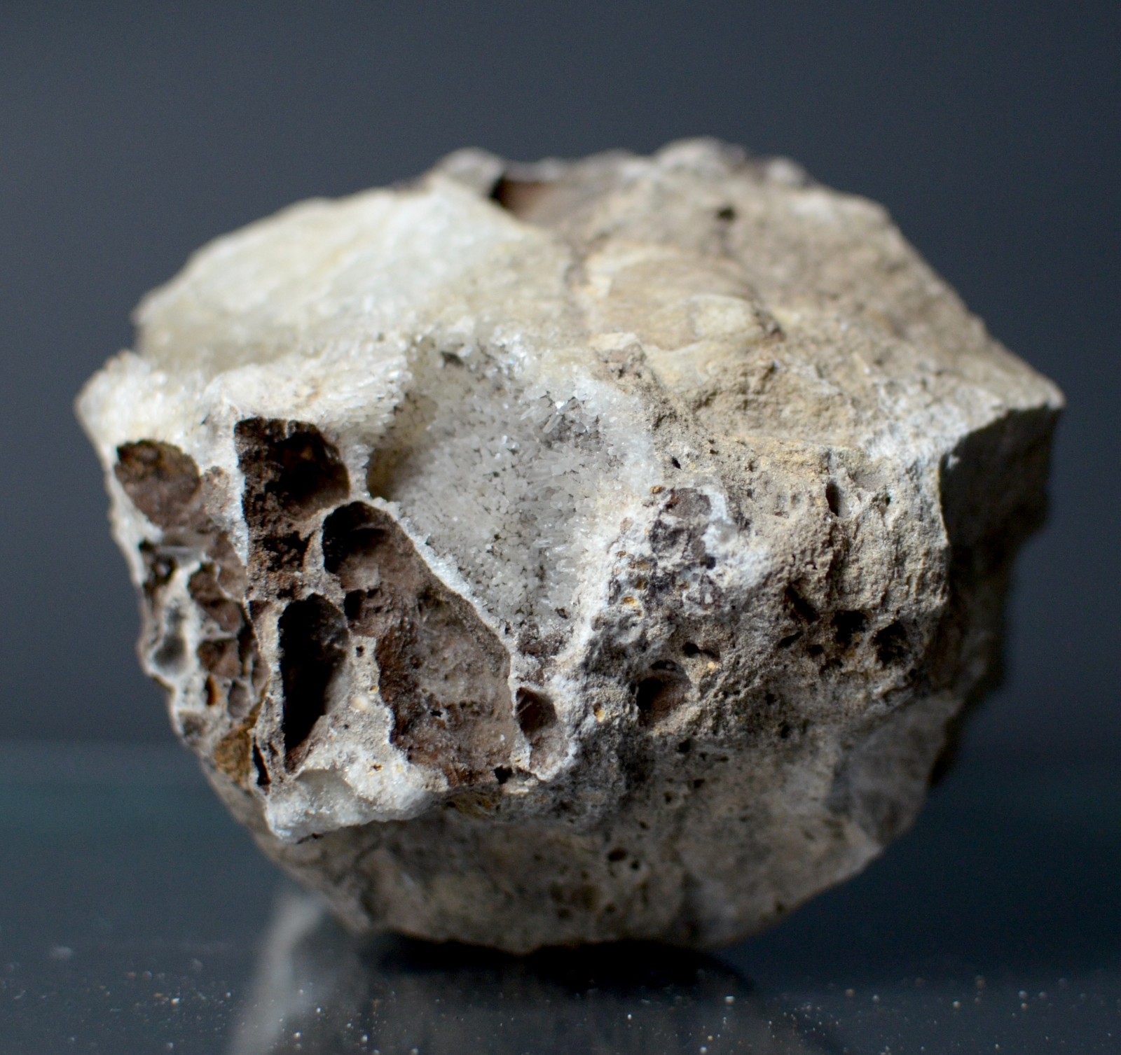 Fluorescent Aragonite Needle Spray in Fossil Matrix | Crystal River, Florida