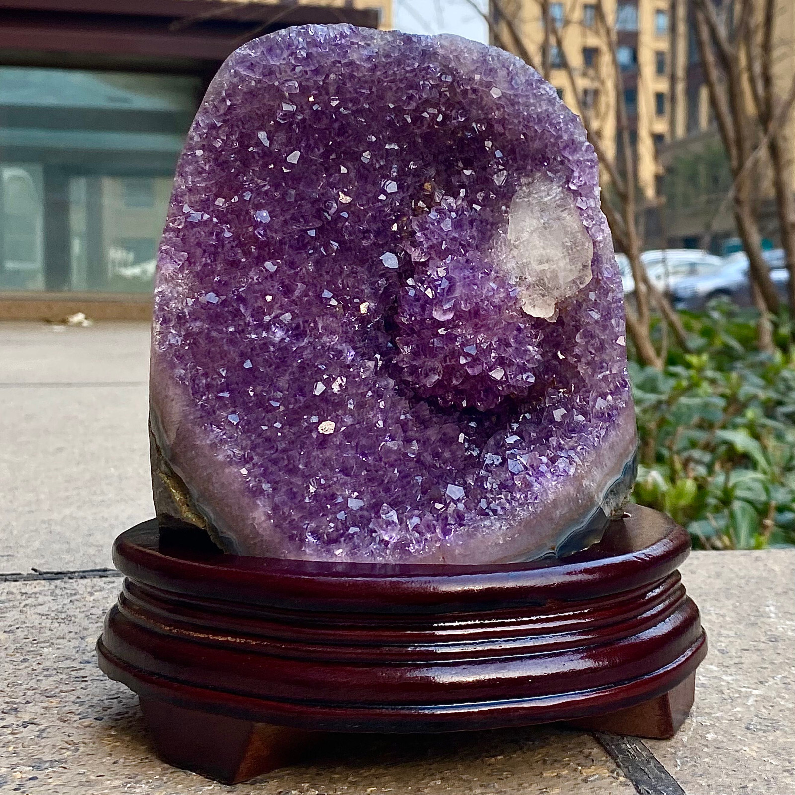 6.65LB Natural Uruguayan Amethyst Quartz Cave Geode Crystal Healing+base
