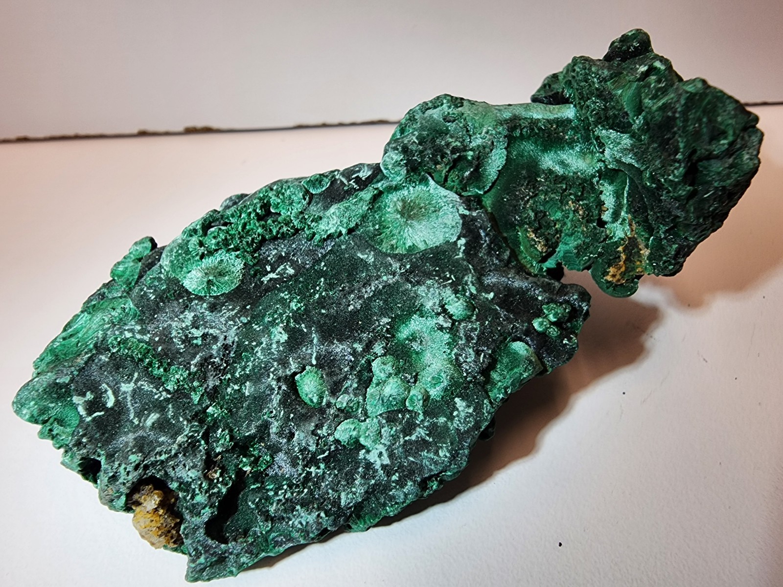 Natural Malachite Crystal Specimen Botryoidal Fan Formation Mineral 3.3″