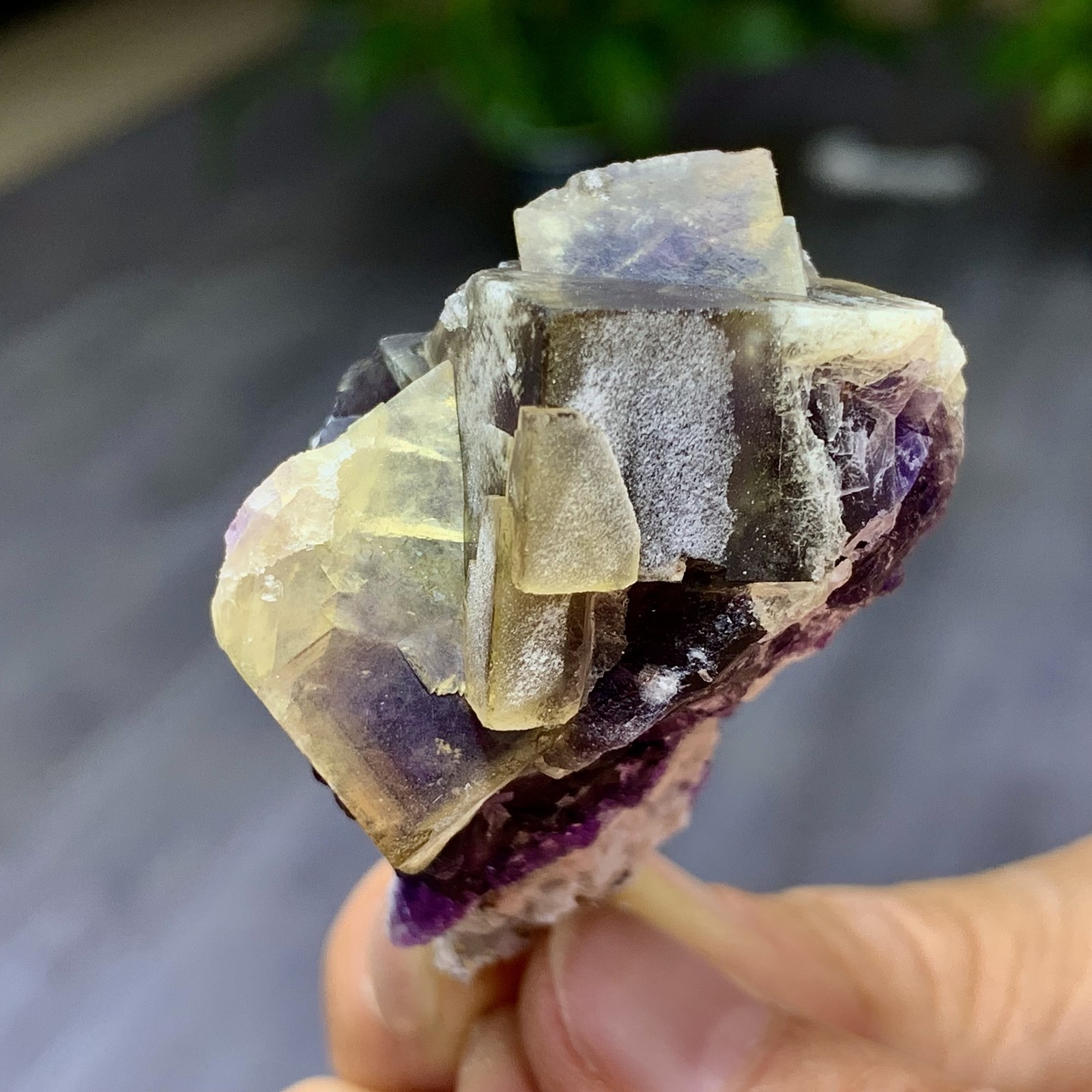 48G Rare transparent purple cubic fluorite mineral crystal sample/China