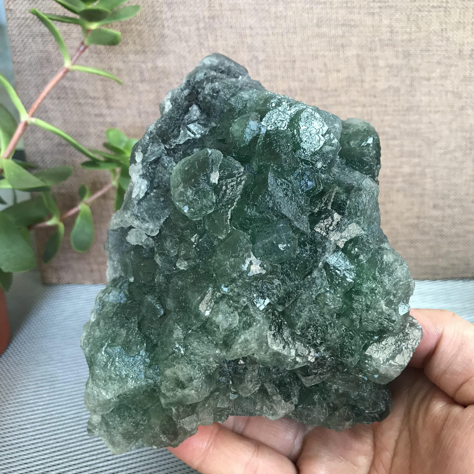 143mm NATURAL Green Cubic FLUORITE Crystal Cluster Mineral Specimen 1.58kg A1279