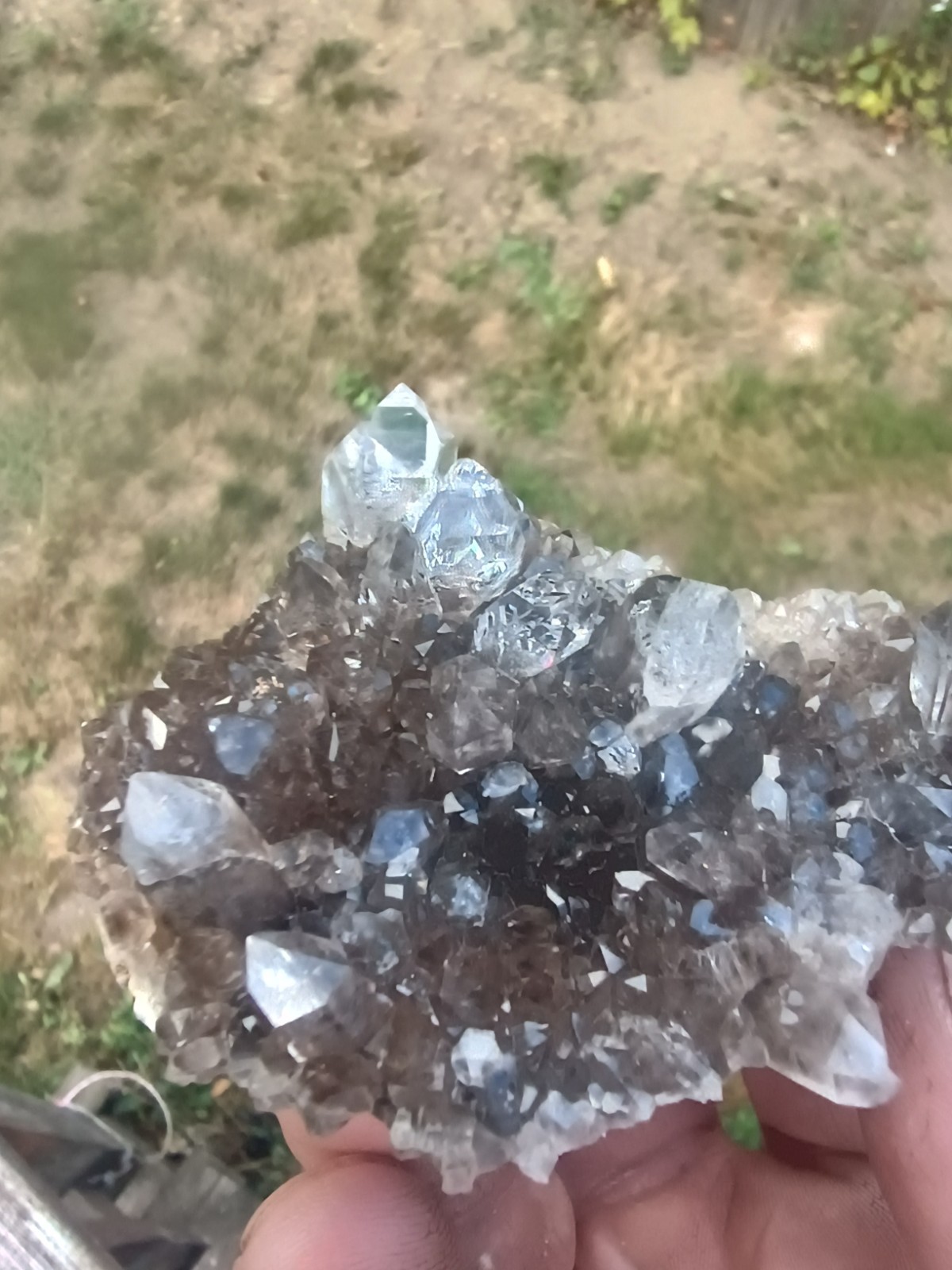 Herkimer 💎Perchers On 🖤 Smokey Druze Plate (Rare Piece) Miner Direct ⚒️