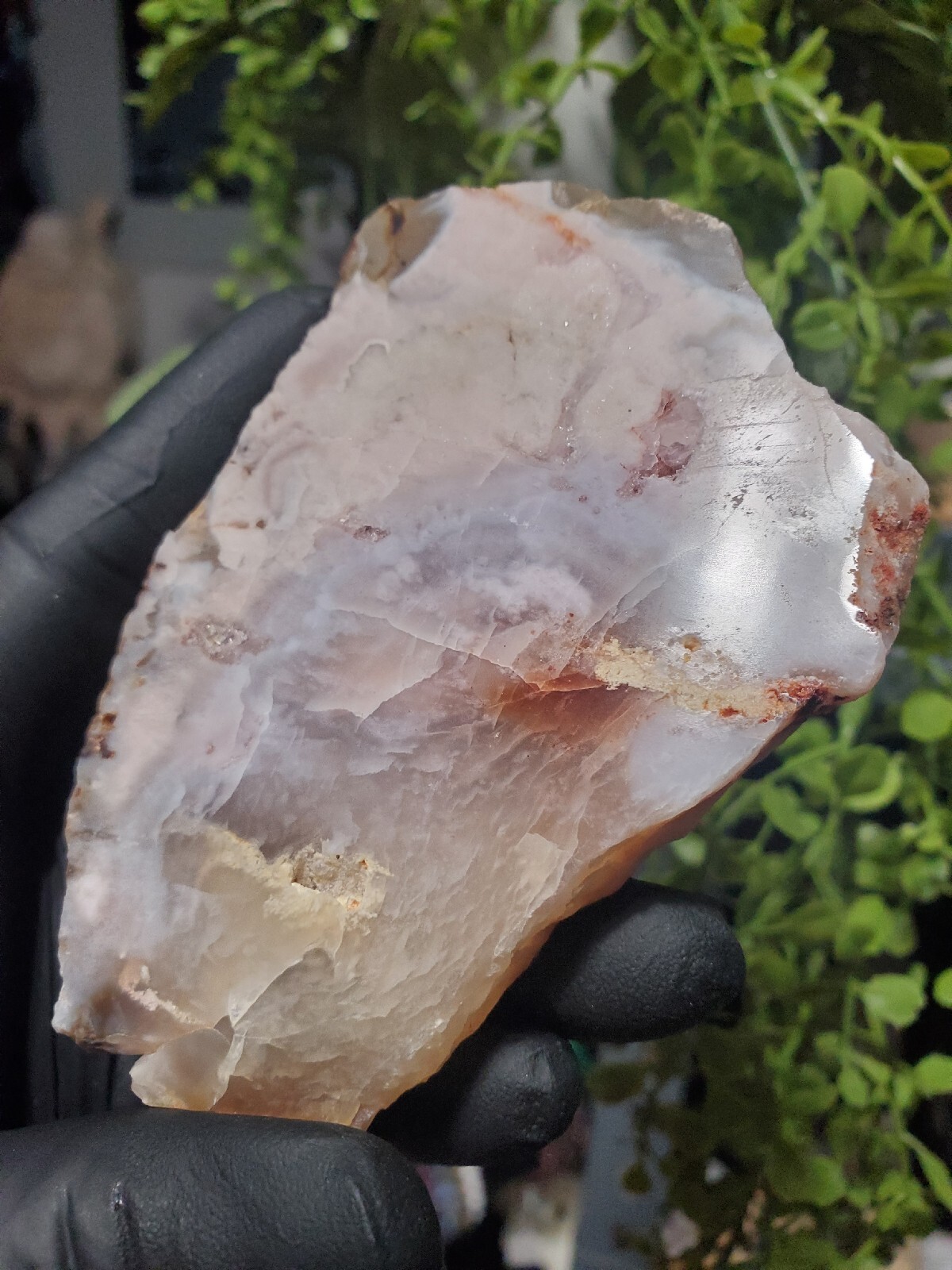 124g Beautiful Flower Agate Slice Slab Crystal Quartz Energy Healing Crystal